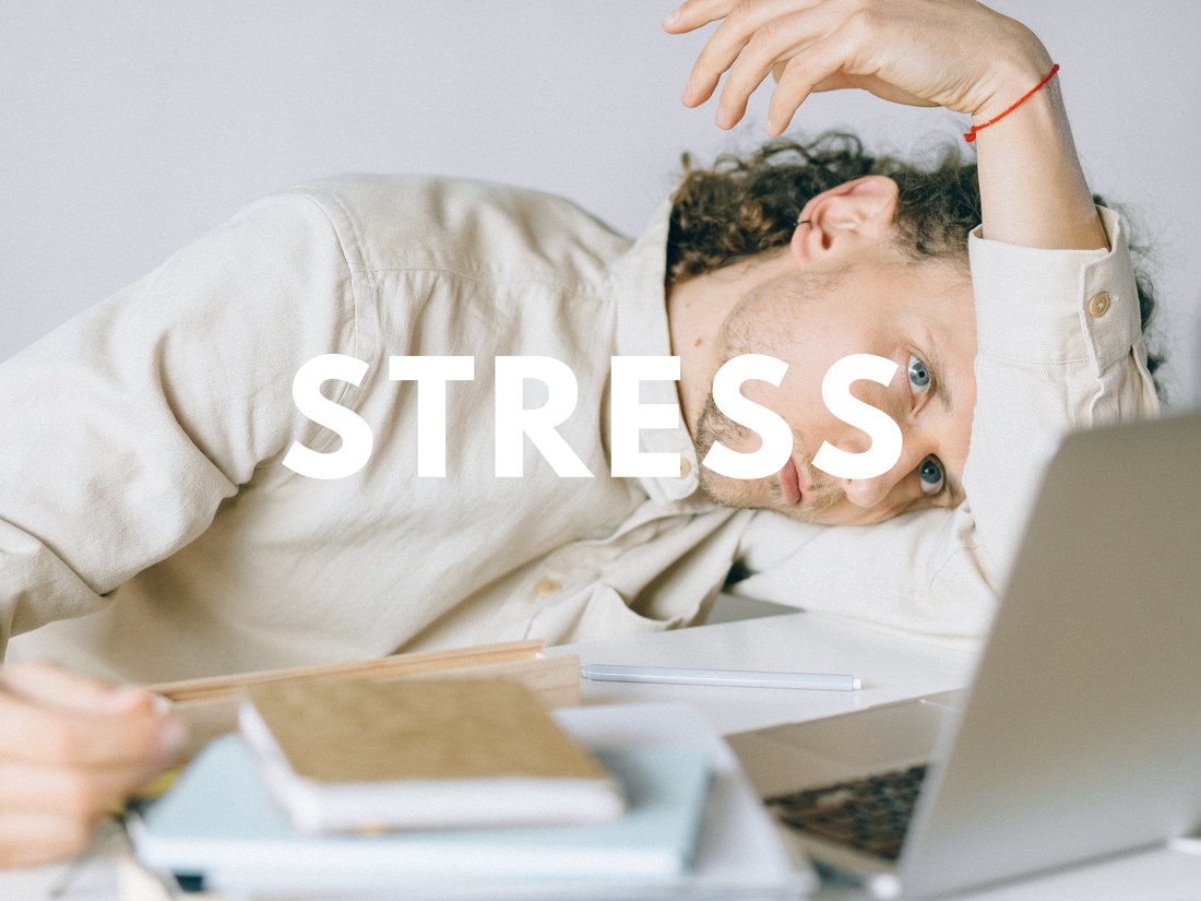 Stressfrei leben: 10 motivierende Sprüche, um Stress abzubauen und mehr Gelassenheit zu finden!